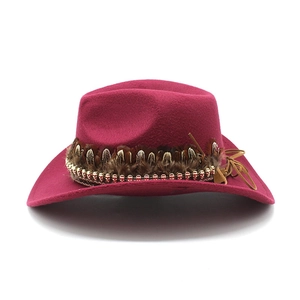 Detail of fuchsia western cowboy hat with feathers and golden metal bead chain trim