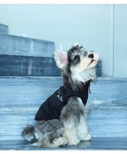 Detail of pet winter vest set with zipper pocket and logo on schnauzer model