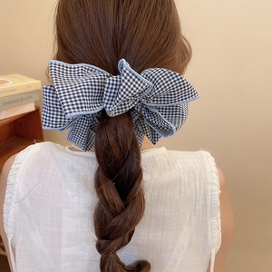 Fiocco per capelli a quadretti bianchi e blu su una coda di cavallo intrecciata chic