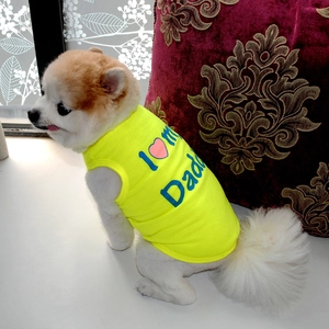 Neon yellow dog vest featuring I Love my Daddy print worn by a small Pomeranian