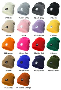 Griglia dettagliata che mostra diciotto colori di berretti in maglia per neonati con patch