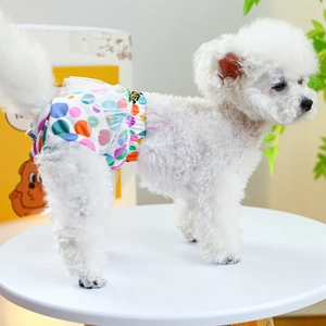 Cute polka dot pet physiological pants with lace trim for small dogs like Bichon