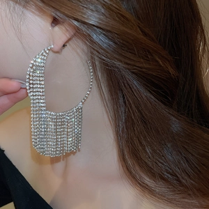 Close-up of sparkling silver tassel drop earrings with crystals worn on a female model