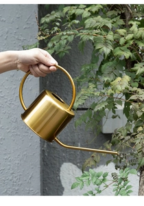 Close-up of hand holding a golden long-spout stainless steel watering can for plants
