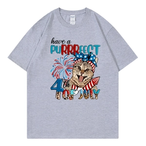 Oversized grey cotton T-shirt featuring a cute cartoon cat 4th of July graphic print
