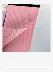 Close-up of pink lined notepad featuring thick paper suitable for fountain pens