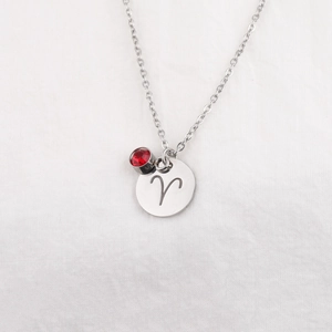 Detailed shot of silver Aries necklace featuring a zodiac disk and red birthstone charm