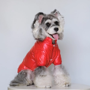 Détail d'un manteau d'hiver rouge brillant pour animaux avec boutons blancs et col montant
