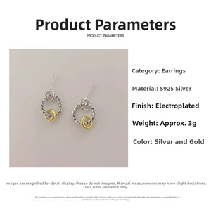 Detail view of S925 sterling silver twisted hoop earrings with gold and silver plating