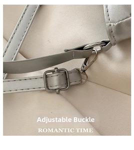 Detail of silver metallic adjustable buckle and lobster clasp on fashion handbag