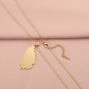 Polished gold stainless steel Germany map pendant necklace on soft pink fabric