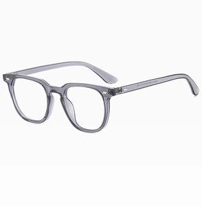 Detail view of grey transparent eyeglass frame featuring model number and metal hinge