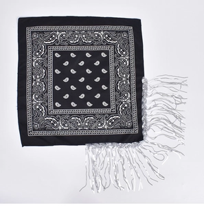Detail of black paisley bandana with shimmering silver fringe and classic white patterns