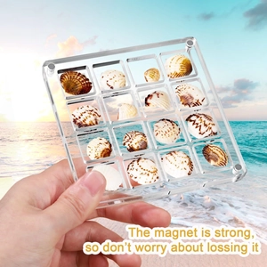 Detailed 12-grid magnetic acrylic display box for shells against a beach background