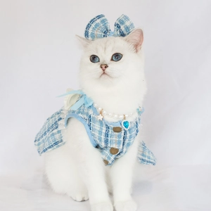 Blue tweed pet dress set with matching bow headband and pearl heart necklace for cats