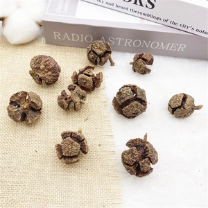 Natural pine cones on burlap background for Christmas tree decoration and rustic home decor