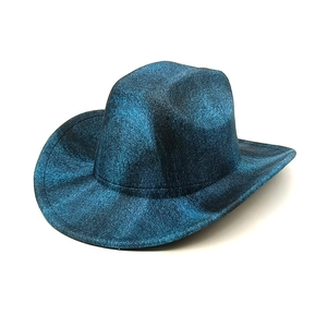 Detail of wool fedora showing deep blue splashed texture and wide-brim cowboy hat style