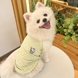 Close-up of light green breathable mesh pet vest with embroidery on white Pomeranian