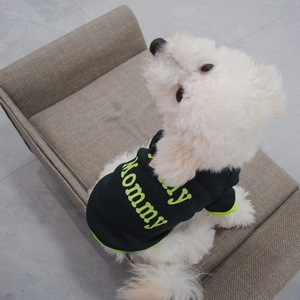 Close-up of a green fleece dog hoodie with Mommy print on a cozy indoor pet bed