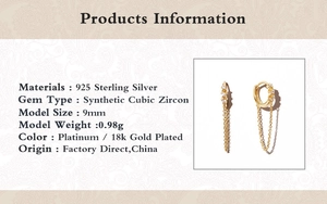 Detail showing 925 sterling silver hoop earrings with star pendant and zircon specs