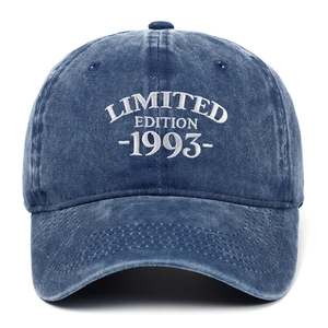 Berretto Da Baseball Ricamo Limited Edition 1993 Cotone Lavato Regolabile Vintage Retro Cappello Sole