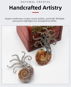 Close-up of nautilus fossil octopus brooch with silver tentacles on red wood box