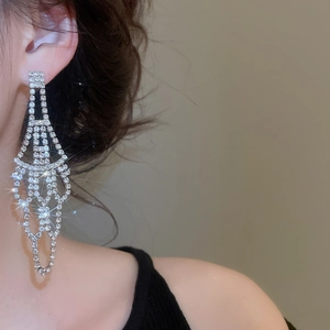 Detailed view of silver tassel earrings with rhinestones on model for a luxe look