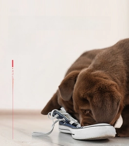 Brown Labrador puppy playing with blue canvas sneaker interactive pet snuffle toy
