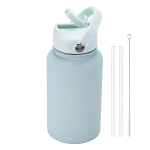 Light blue 650ml stainless steel thermos bottle with handle, straws, and cleaning brush
