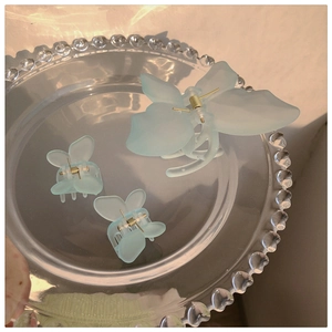 Macro detail of matte blue butterfly hair clips on a textured glass display tray