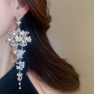 Close-up of silver drop tassel earrings with sparkling rhinestones worn on a model
