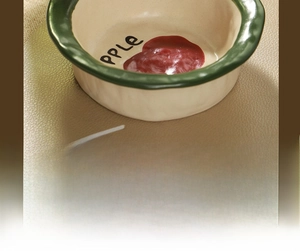 Detailed close-up of the scalloped green rim and cute hand-painted apple ceramic bowl