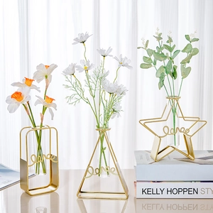 Nordic Geometric Metal Hydroponic Vase With Glass Tube Love Design Gold Iron Frame For Desktop Modern Home Decoration