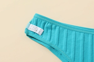 Macro detail of ribbed cotton fabric and wash care label on lake blue Brazilian panties