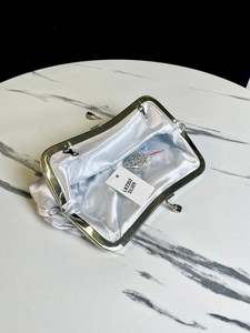 Silver pleated silk evening clutch bag with metal frame and chain for women banquet dress.