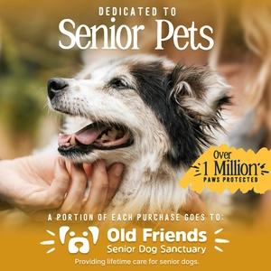 Brand campaign image showing an old senior dog with a warm and emotional focus