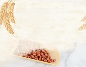 Macro detail of high quality PVC red bean food model in a wooden spoon with wheat accents