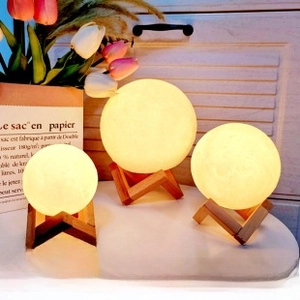 Three sizes of 3D lunar night lights with textured surface on wooden stands