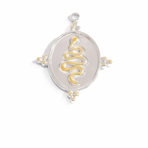 Detail of silver oval pendant with golden snake relief and premium metallic texture