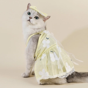 Cat in yellow floral dress with matching sun hat, featuring elegant lace and bow details