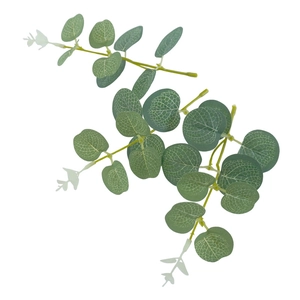 Artificial money leaf eucalyptus stem for home decor and wedding floral arrangements