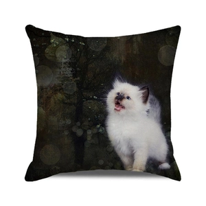 Close-up of cute white kitten pattern on a square Halloween pumpkin sofa pillow case