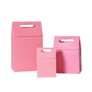 Pink minimalist kraft paper gift bags with handles in three different sizes on white background