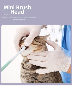 Close-up of mini toothbrush head for pets featuring a small brush for cats and dogs