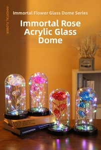 Detail of four colorful LED rose lamps in glass domes on books for ambient lighting