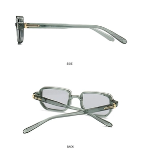 Detail view of transparent grey acetate frame with side and back golden hinge accents