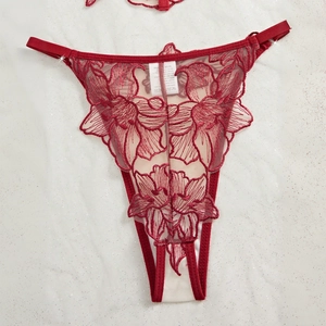 Lace embroidery lingerie set in vibrant red featuring intricate floral mesh patterns