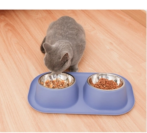 Grey cat eating from a double stainless steel pet bowl with a light purple anti-spill base