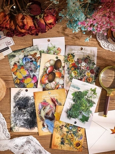 Flat lay of retro waterproof nature stickers with butterflies and plants on wooden desk
