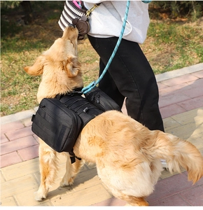 Tactical nylon dog saddlebag detail with dual side zipper pockets on a golden retriever